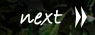 next