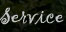 Service